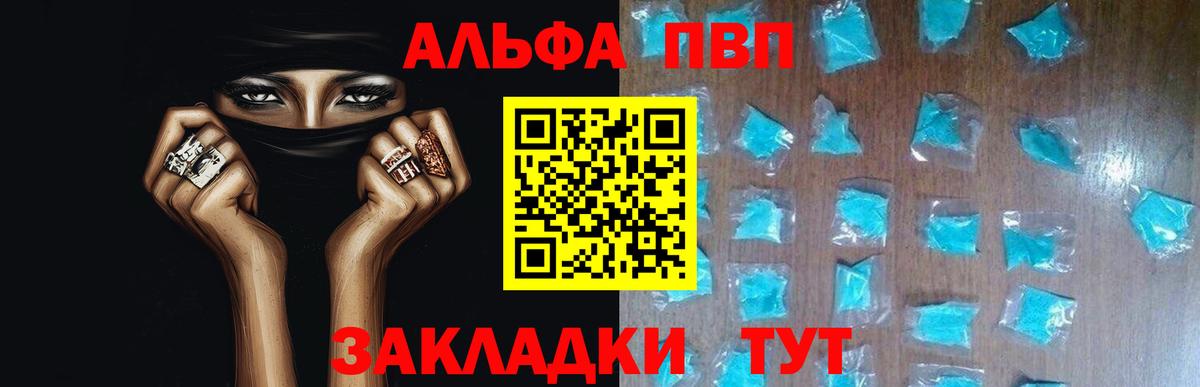 дарнет шоп  Вход с VPN  APVP СК КРИС  Гай  A PVP СК КРИС  Альфа ПВП Crystall 