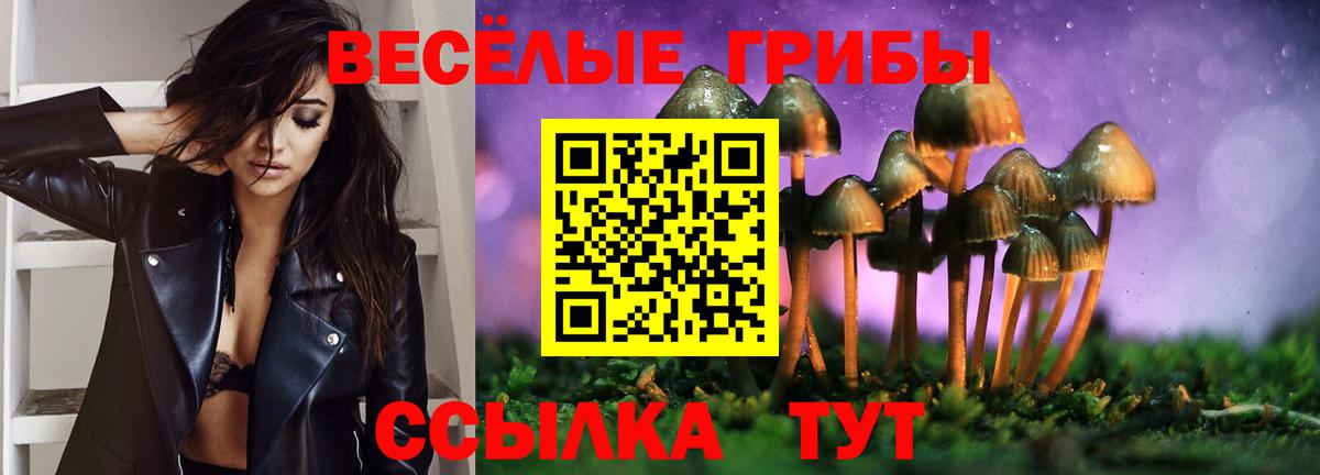 Галлюциногенные грибы Psilocybe Гай